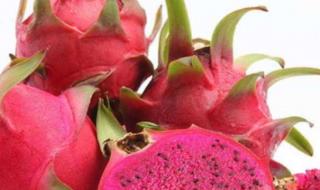 3月24日蚂蚁庄园答案